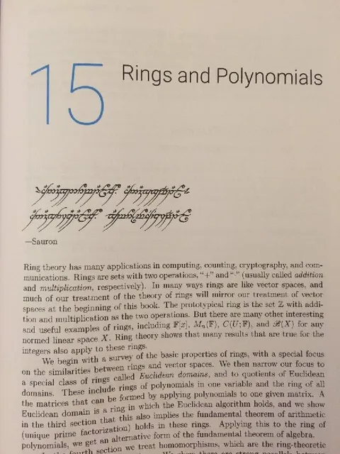 Rings and Polynomials Textbook Page