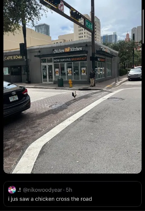 Chicken Crosses the Road