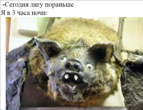 Я в три часа ночи