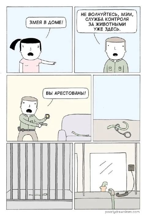 Служба контроля за животными