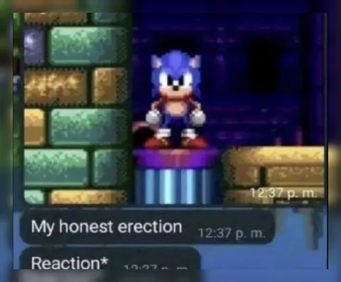 Sonic Honest Erection Reaction