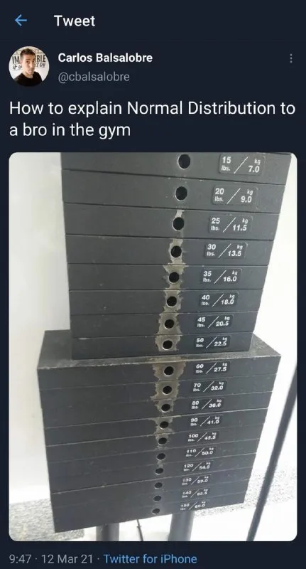 Normal Distribution Gym Explanation