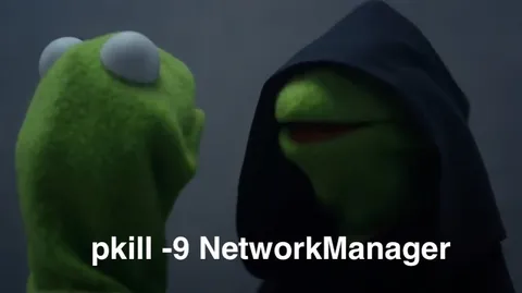 Kermit Runs NetworkManager Command