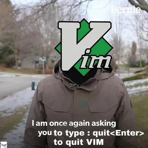 Bernie Asking to Quit VIM