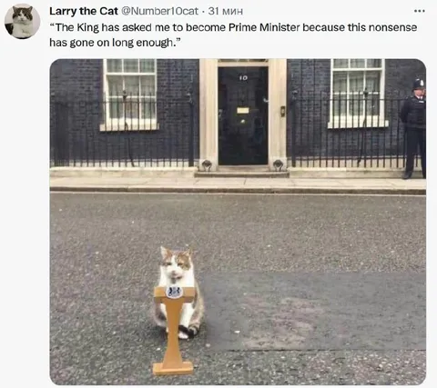 Larry the Cat for Prime Minister