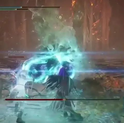 Brave Tarnished Defeats Godfrey