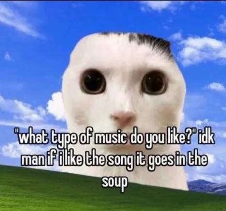 Music Goes in the Soup