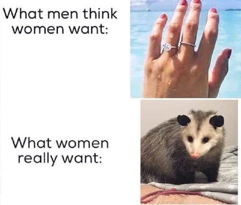 What Women Really Want