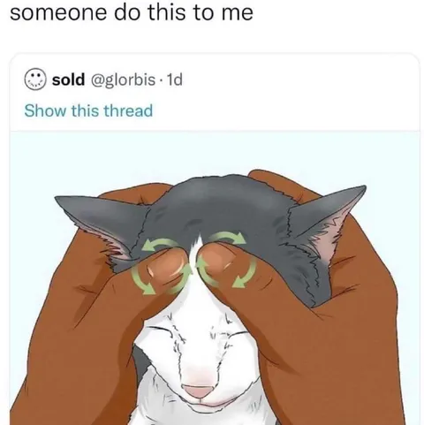 Someone Do This to Me Cat
