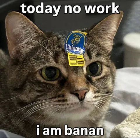 Today No Work I Am Banan