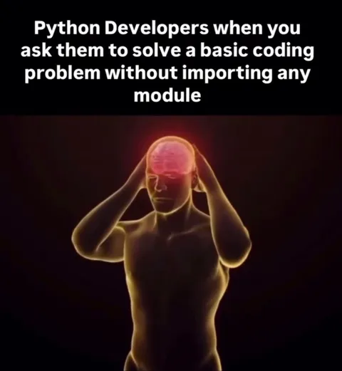 Python Developers Without Imports