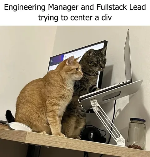 Cats Trying to Center a Div
