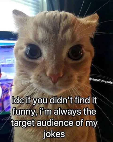 Cat Is the Target Audience
