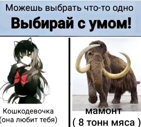 Выбирай с умом: кошкодевочка или мамонт