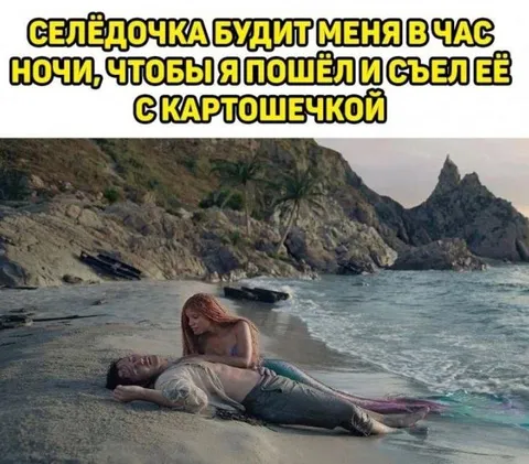 Селёдочка будит меня ночью