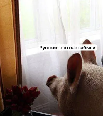 Русские про нас забыли