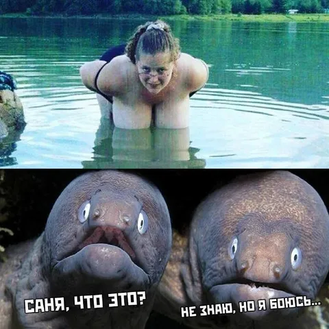 Саня, что это?