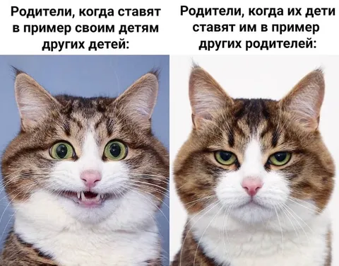 Родители сравнивают детей