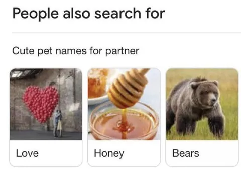 Cute Pet Names for Partner