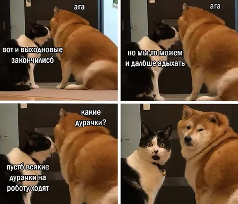 Выходные закончились, но не для всех