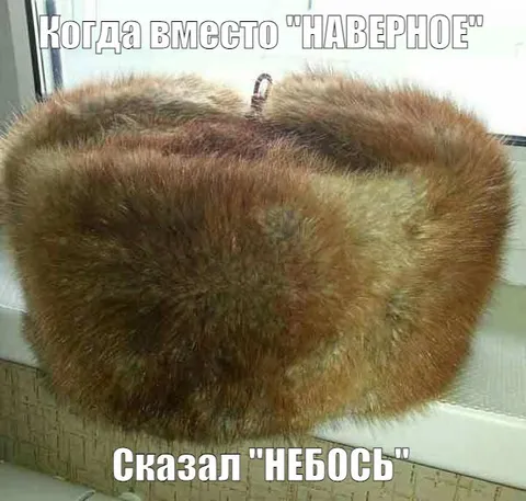 Когда сказал «небось»