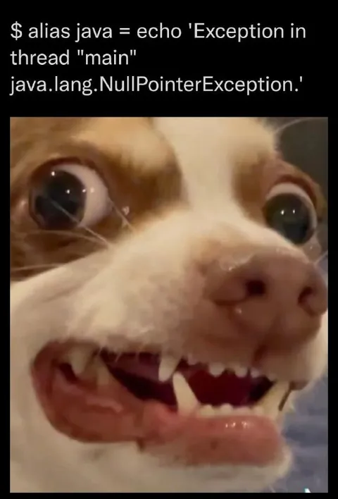 Java NullPointerException Panic Cat