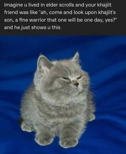 Khajiit Warrior Son