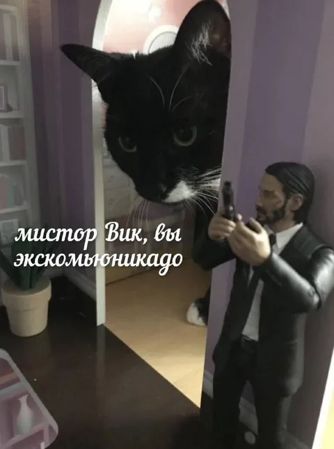 Мистор Вик, вы экскомьюникадо