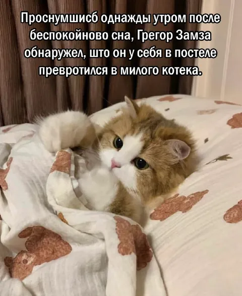 Грегор Замза стал милым котеком