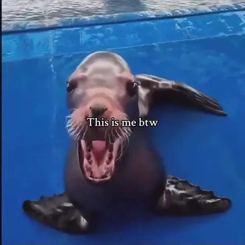 This Is Me Sea Lion