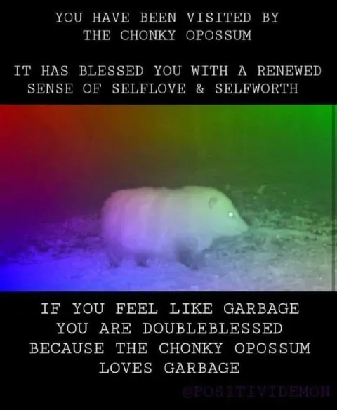 Chonky Opossum Blessing