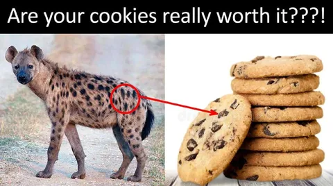 Are Your Cookies Really Worth It