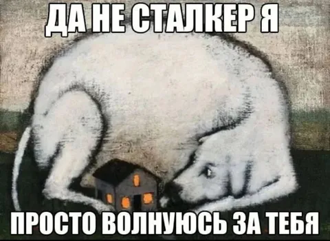 Да не сталкер я