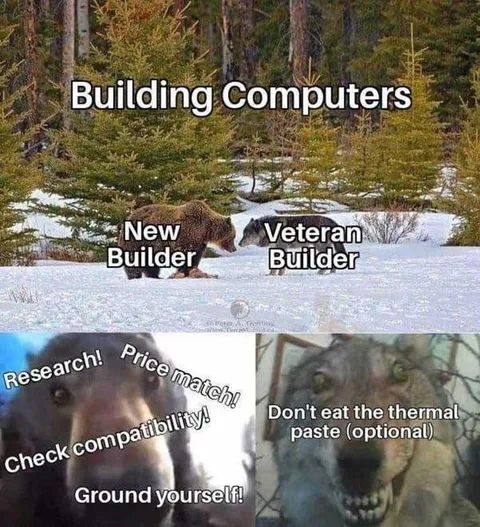 New Builder vs Veteran Builder