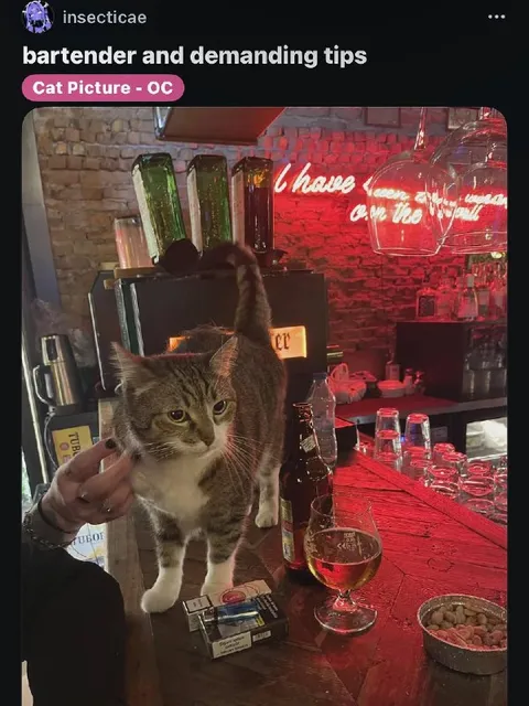 Cat Bartender Demanding Tips