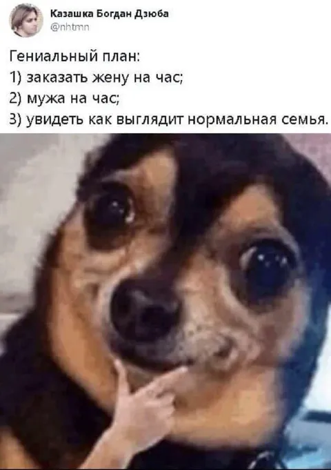 Гениальный план про нормальную семью
