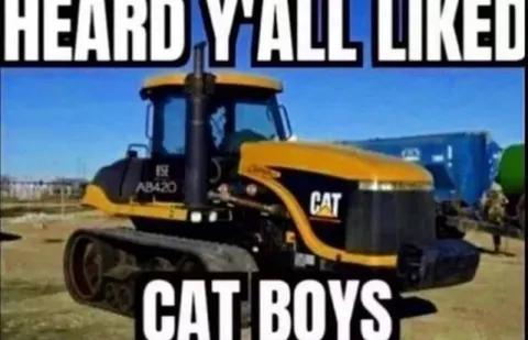 Heard Y'all Liked Cat Boys