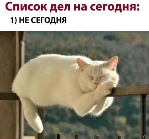 Список дел на сегодня