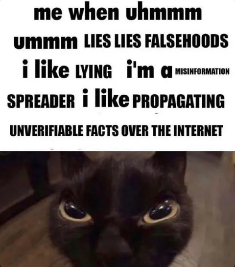 Cat Spreads Misinformation
