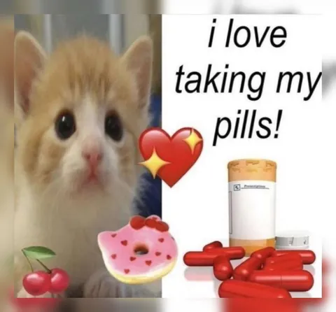 Kitten Loves Taking Pills