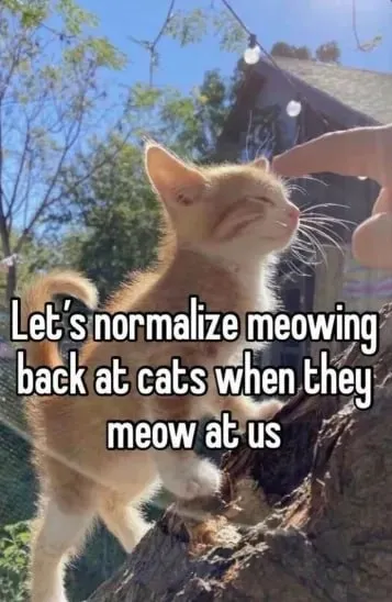 Normalize Meowing Back
