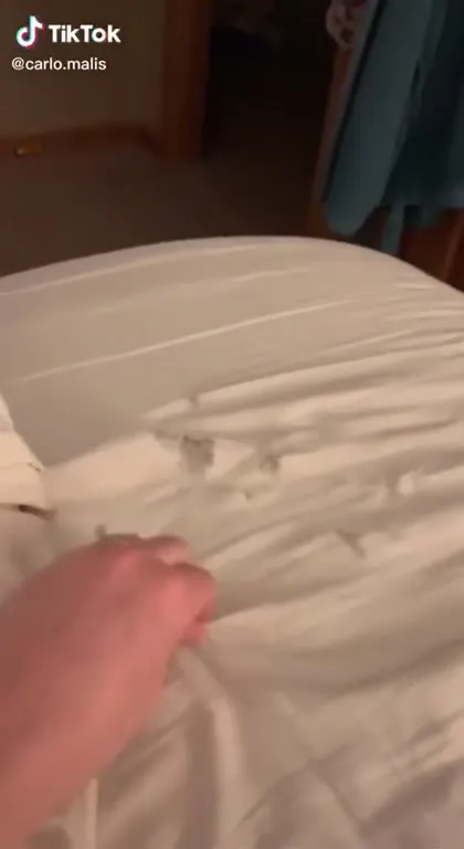 The Sun King Under the Covers