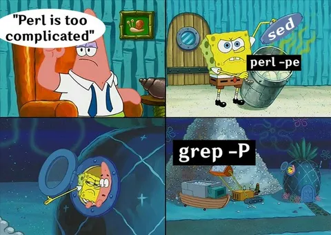 Perl Is Too Complicated