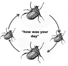 How Was Your Day Beetle Cycle