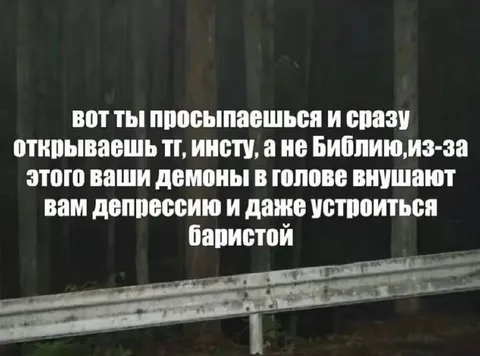 Просыпаешься и открываешь соцсети