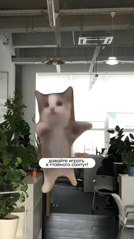 Коты на офисном совещании