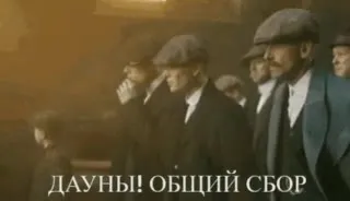 Дауны, общий сбор