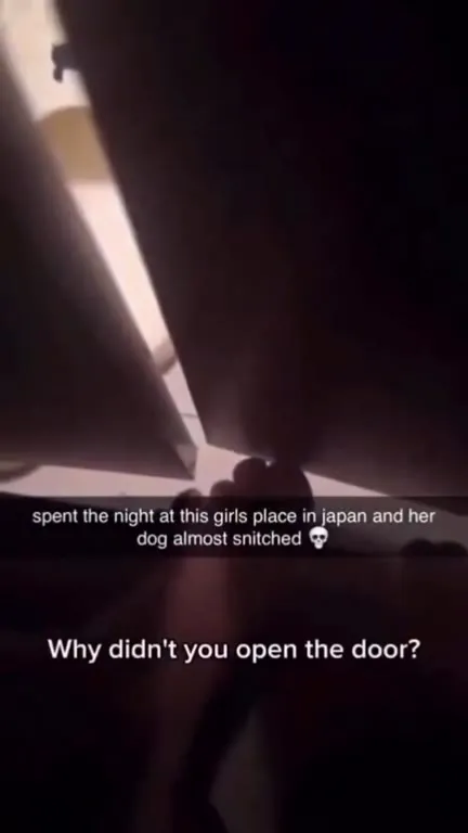 Dog Almost Snitches on Secret