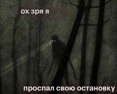 Проспал свою остановку в лесу