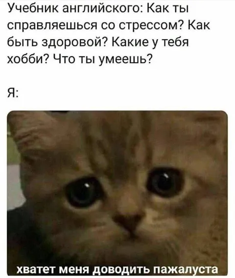 Хватет меня доводить пажалуйста
